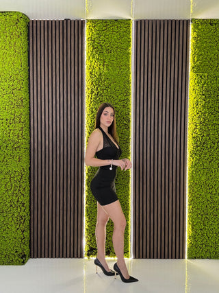 DRESS LEXY
