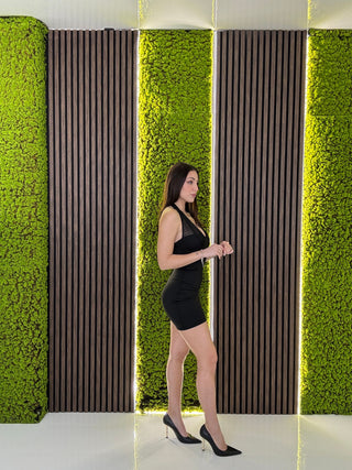 DRESS LEXY